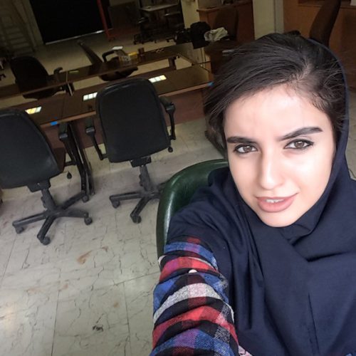 Marzieh Jamalabadi