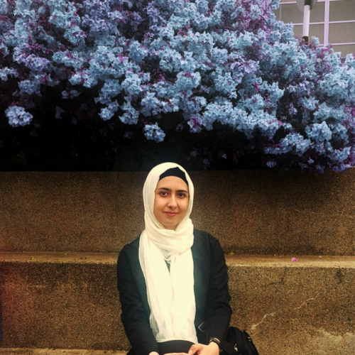 Homa Golestani Nezhad